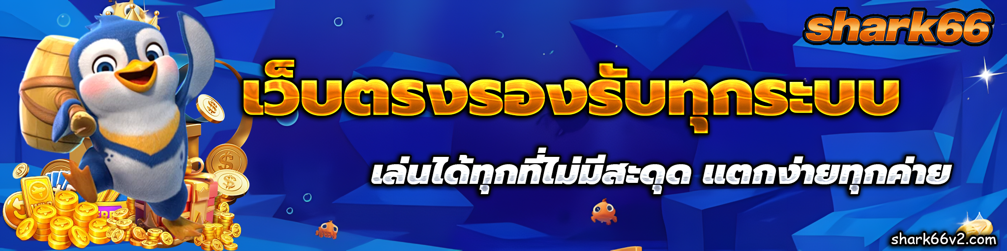shark66 เว็บตรง